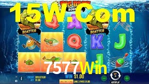 Premium Interface 7577Win